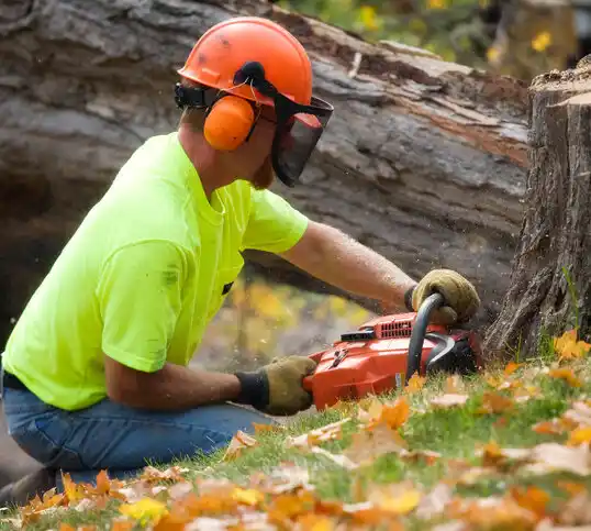 tree services Wymore